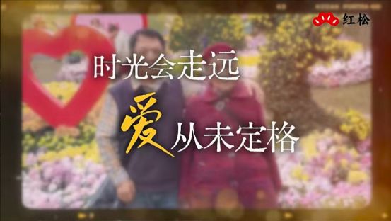 活动策划1-1